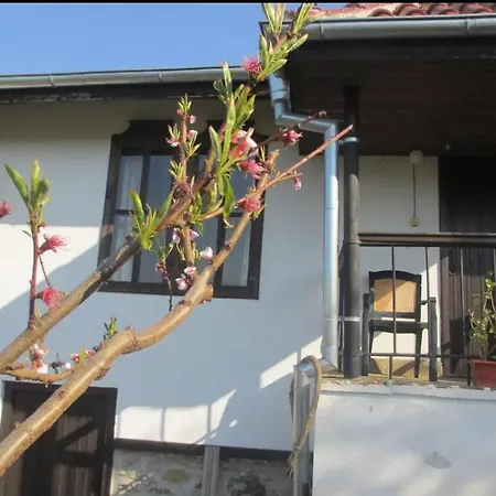 Holiday home Brodilovo